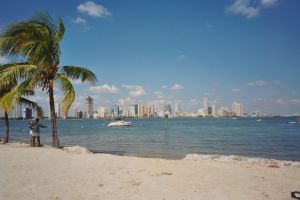 Miami Skyline and Beach